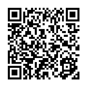 但因为姒总管脑子里的傀儡蠕虫是由符文变化模拟出来的二维码生成
