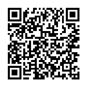 但已经能够清楚地感知到对方在神识网里移动留下的痕迹二维码生成