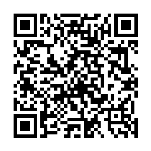 但是你们在战场上的存活下来的几率绝对不会比他们要大二维码生成