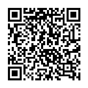 但是在合同中我们会严格按照合同约定支付工程款项二维码生成