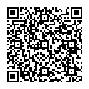 但是我们国家这种一党执政的体制也就决定了我们的政治体制不可能采鳃外的参众两院模式二维码生成
