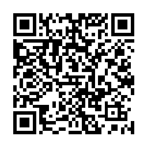 你不但沒有将心思放在寻找罗伊国王和带领大家抗震救灾上二维码生成