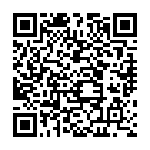 你们不会打算把我塑造成什么高贵血统的私生子之类的吧二维码生成