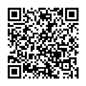 佣人们陆续地将韩式传统宫廷宴规格的精美食物端了上来二维码生成