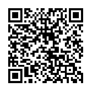 使得他在经受诸多打击之后依旧能够坚定不移地站在舞台上二维码生成