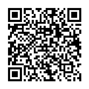 公司加农户的方式不一定适用于任何地方任何产业二维码生成