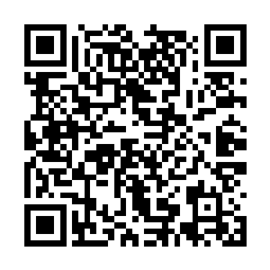 冉青衣俊美的脸庞和罗川的膝盖完成了第一次撞击二维码生成