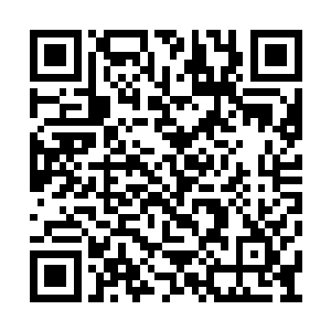 再加上他们和我们仙舟对轰的过程中损失的仙舟二维码生成