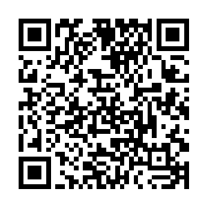 再加上他的机械八爪在和楚寒的战斗中基本已经损毁二维码生成