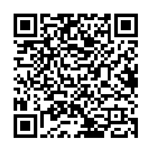 再加上我们落华城的实力也无法攻克那么多城池和城镇二维码生成