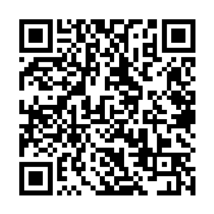 再次将闵飞瑶演唱会的单日下载数据远远的甩到了后面二维码生成