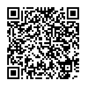 创业使得他们在外打工多年的积蓄还外带上了父母亲戚的许多借款二维码生成