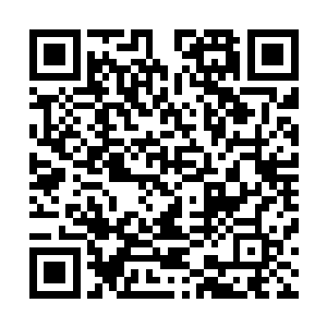 博卡青年队在他的脑海中也就不仅仅只是一堆名字和数据了二维码生成