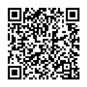 即使把他放在一群红叶中间他仍然能够给人一枝独秀的感觉二维码生成