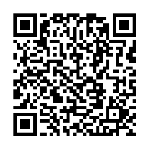 压缩十成力量的元气弹和诸多修罗的攻击碰撞在一起二维码生成