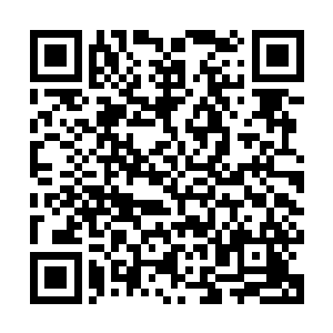 原本在他们眼中无比强大的敌人现在竟然全都变成了一地的尸体二维码生成