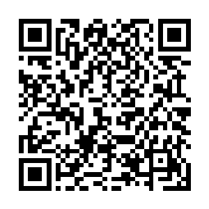 原本完美的计划竟然会被这么一群忽然出现的家伙捣乱二维码生成