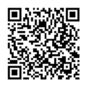 原本每一次的会议都会为大家贴心准备一些上档次的礼品二维码生成