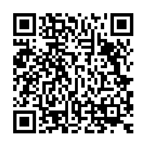 又让他像只开了屏的孔雀似的毫发无损的转回去实在是心有不甘二维码生成