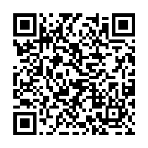 另一份是关于在开发区全面实行招投标制度的请示二维码生成