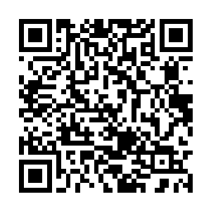 只不过罗宾川此刻的脑电波似乎和之前的不太一样二维码生成