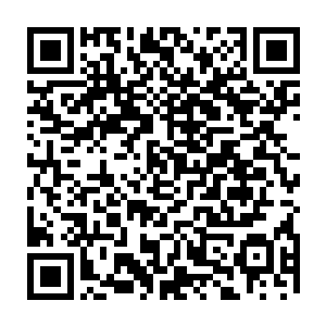 只是准备等着无敌小队再一次出任务的时候暗处暗杀掉那个砍了儿子右手的女人二维码生成
