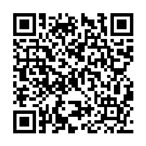 只有那还在回荡的惨叫声代表着几个修行者的死亡二维码生成