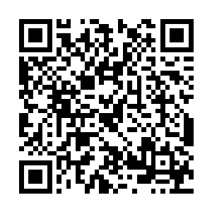 否则……这样的折磨就会在你们的身上一一呈现了二维码生成