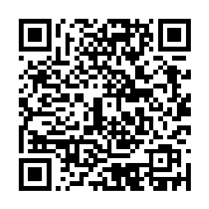 否则当初墨族王主们不可能带着墨巢从源地走出来二维码生成