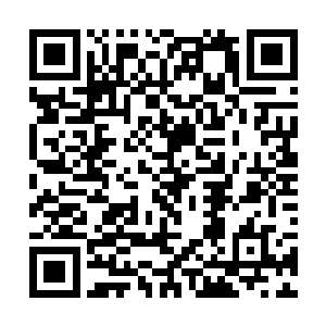周围的环境随着林灵的出手竟然开始轻微的发生改变二维码生成
