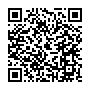 周里乡小城镇建设投资开发公司采取或租或卖的办法二维码生成