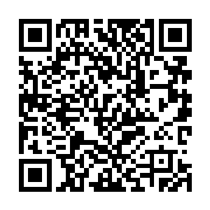 呵呵・不过他和他的同伙如今都已经被我们百里家抓了起来二维码生成