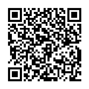 和华阳宗修士参与到世俗界之中的原由将巨阙城韩家灭门二维码生成