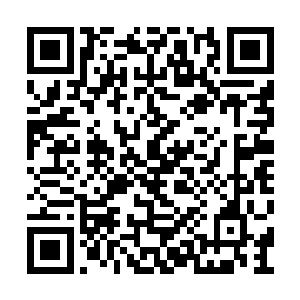 唐铮确实从这些鲜血中感受到了一股反弹的迹象二维码生成