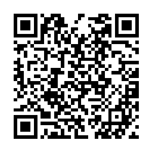 因为他已经可以确定秦宇对这消息大的在乎程度了二维码生成