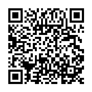 因为你在大屏幕上呈现出来的表演可看不出来任何模仿的迹象二维码生成