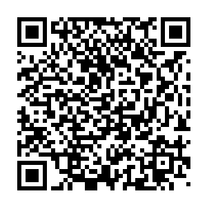 因为林烽这个掌门实在是给他们带来了太多太多的意外和惊喜震撼了二维码生成