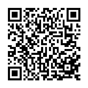 因为此次他的任务就是阻止他们带走这个岛上的任何一件宝物二维码生成