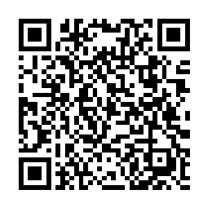 因菲尼特的战术制御模块便列出了以上这样一段内容二维码生成