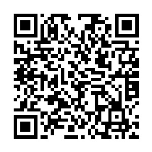 在他们身后的陷仙阵和戮仙阵内的修士却依旧岿然不动二维码生成