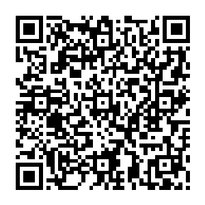在国际舞台上完全无法体现出中国作为世界第二经济大国和安理会常任理事国的风采二维码生成