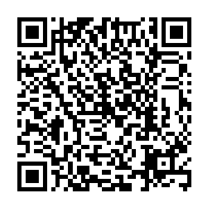 在城门口的那两个修士此时已经开始对没有来得及回到许家祖地的弟子进行屠杀二维码生成