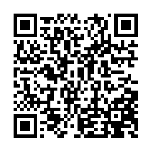 在学校里找几个成绩好的学生或是业务好的教授二维码生成