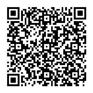 在庄园里走了一圈的风苍梧就主动承担起了张家下一代的家庭教师的职位――要靠自己的二维码生成