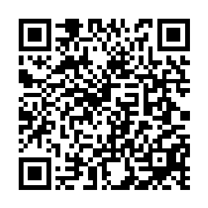 在法国科学家对花瓣形成过程的计算机仿真实验中二维码生成