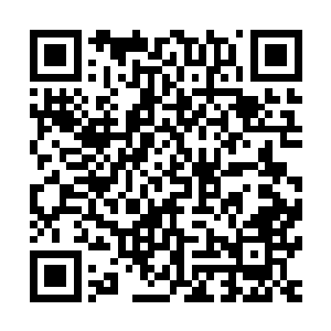 在皇家公主号上苏凡说要借用猩红小队虽然是玩笑的成分居多二维码生成