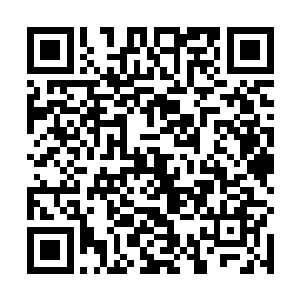 在研发过程中发现了这个王世子故意留下的可增减模块二维码生成