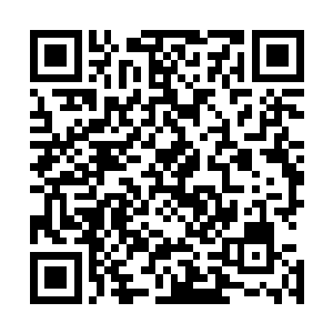 在肾上腺激素的作用下他瞳孔的轮廓比正常状态放大了两倍二维码生成