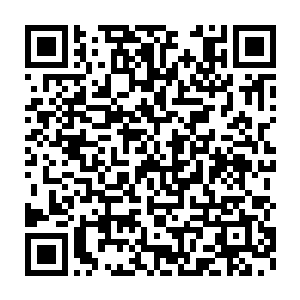坐在一棵已经落尽树叶的槐树底下擦拭着那两支已经沾染了鲜血的弩矢二维码生成