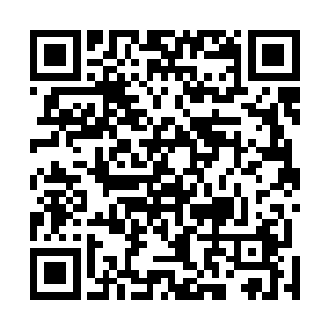 夜冥剑宗的弟子是想效仿杨轩狠狠的羞辱五行剑宗的弟子二维码生成